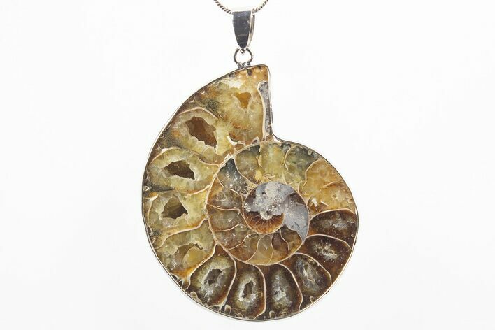 Fossil Ammonite Pendant - Million Years Old #306475